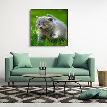 Load image into Gallery viewer, Cat Animal - Full Diamond Painting - 30x30cm