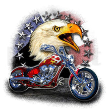 Load image into Gallery viewer, Motorcycle Eagle - Full Diamond Painting - 30x30cm