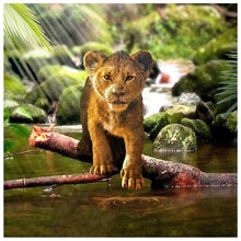 Load image into Gallery viewer, Lion ZooArt - Full Diamond Painting - 30x30cm