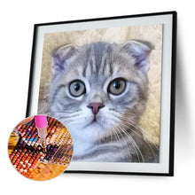 Load image into Gallery viewer, CatArt - Full Diamond Painting - 30x30cm
