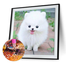 Load image into Gallery viewer, Cute White DogWall - Full Diamond Painting - 30x30cm