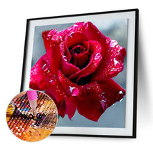 Load image into Gallery viewer, RosesRoom - Full Diamond Painting - 30x30cm