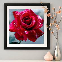 Load image into Gallery viewer, RosesRoom - Full Diamond Painting - 30x30cm