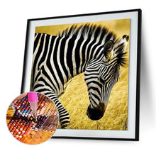 Load image into Gallery viewer, Walking Zebra - Full Diamond Painting - 30x30cm