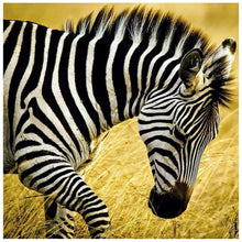 Load image into Gallery viewer, Walking Zebra - Full Diamond Painting - 30x30cm
