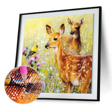 Load image into Gallery viewer, Grass Deer - Full Drill Round Drill - 30x30cm