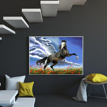 Load image into Gallery viewer, Wild Horse - Full Drill Round Drill Painting - 30x40cm