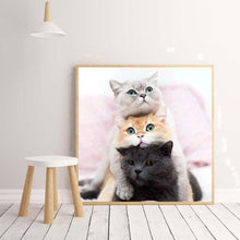 Load image into Gallery viewer, Lovely Cat - Full Drill Round Drill Painting - 30x30cm