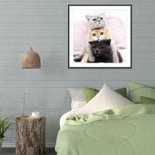 Load image into Gallery viewer, Lovely Cat - Full Drill Round Drill Painting - 30x30cm