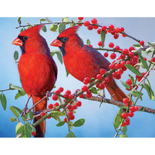 Load image into Gallery viewer, Bird-Full Drill Diamond Painting