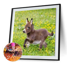 Load image into Gallery viewer, Donkey - Full Drill Round Drill - 30x30cm
