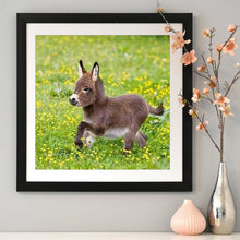 Load image into Gallery viewer, Donkey - Full Drill Round Drill - 30x30cm