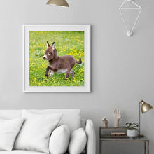 Load image into Gallery viewer, Donkey - Full Drill Round Drill - 30x30cm