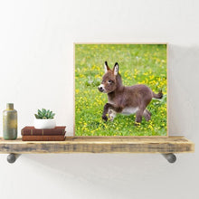 Load image into Gallery viewer, Donkey - Full Drill Round Drill - 30x30cm