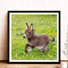 Load image into Gallery viewer, Donkey - Full Drill Round Drill - 30x30cm