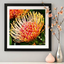 Load image into Gallery viewer, Flower - Full Drill Round Drill - 30x30cm