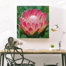 Load image into Gallery viewer, Flower - Full Drill Round Drill - 30x30cm