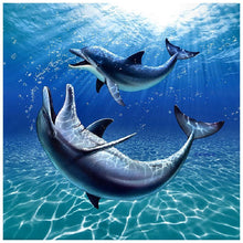 Load image into Gallery viewer, Two Whale - Full Drill Round Drill - 30x30cm