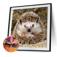 Load image into Gallery viewer, Hedgehog - Full Drill Round Drill - 30x30cm