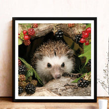 Load image into Gallery viewer, Animal Hedgehog - Full Drill Round Drill - 30x30cm
