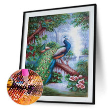 Load image into Gallery viewer, Lordly Peafowl  - Full Drill Round Drill - 30x40cm