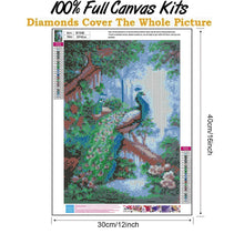 Load image into Gallery viewer, Lordly Peafowl  - Full Drill Round Drill - 30x40cm