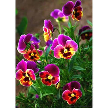 Load image into Gallery viewer, Blossom Flowers  - Full Drill Round Drill - 30x40cm