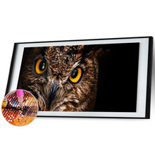 Load image into Gallery viewer, Bird Eye - Full Drill Round Drill - 80x30cm