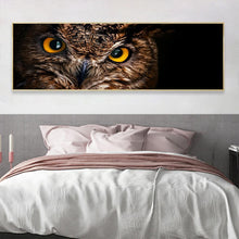 Load image into Gallery viewer, Bird Eye - Full Drill Round Drill - 80x30cm