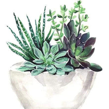 Load image into Gallery viewer, Succulent Plant  - Full Drill Round Drill - 30x30cm