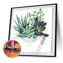 Load image into Gallery viewer, Succulent Plant  - Full Drill Round Drill - 30x30cm