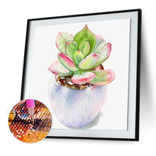 Load image into Gallery viewer, Succulent Plant  - Full Drill Round Drill - 30x30cm