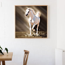 Load image into Gallery viewer, Horse - Full Drill Round Drill - 30x30cm