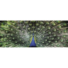 Load image into Gallery viewer, Peacock - Full Drill Round Drill - 100x50cm