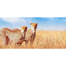 Load image into Gallery viewer, Panther - Full Drill Round Drill - 100x50cm