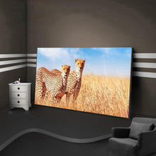 Load image into Gallery viewer, Panther - Full Drill Round Drill - 100x50cm