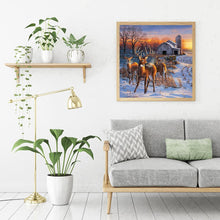 Load image into Gallery viewer, Snow Scene  - Full Drill Round Drill - 30x30cm