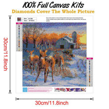 Load image into Gallery viewer, Snow Scene  - Full Drill Round Drill - 30x30cm