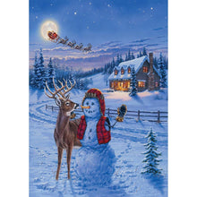 Load image into Gallery viewer, Snowman  - Full Drill Round Drill - 30x40cm