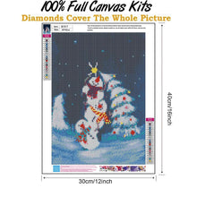 Load image into Gallery viewer, Snowman  - Full Drill Round Drill - 30x40cm