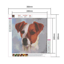 Load image into Gallery viewer, Animals  - Full Drill Round Drill - 30x30cm