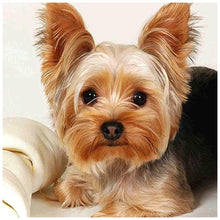 Load image into Gallery viewer, Dog Animal  - Full Drill Round Drill - 30x30cm