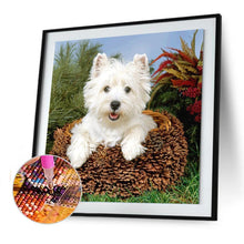 Load image into Gallery viewer, Dog - Full Drill Round Drill - 30x30cm