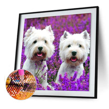 Load image into Gallery viewer, Dog Animal  - Full Drill Round Drill - 30x30cm