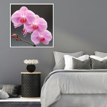 Load image into Gallery viewer, Flowers - Full Drill Round Drill - 30x30cm