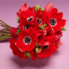 Load image into Gallery viewer, Flowers  - Full Drill Round Drill - 30x30cm