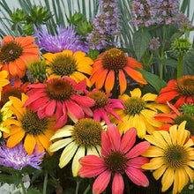 Load image into Gallery viewer, Flowers  - Full Drill Round Drill - 30x30cm