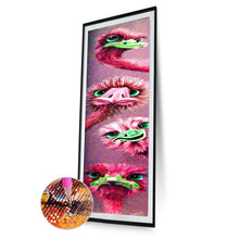 Load image into Gallery viewer, Ostrich  - Full Drill Round Drill - 25x115cm