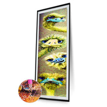 Load image into Gallery viewer, Ostrich  - Full Drill Round Drill - 25x115cm