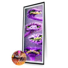 Load image into Gallery viewer, Ostrich  - Full Drill Round Drill - 25x115cm